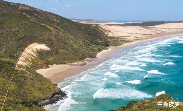 属马|8月8日，事业爱情双丰收，财多福旺心情好，吉星高照的4大生肖