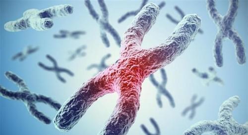 科学家@理论上人类的极限寿命是多少岁?听完科学家的解释明白了