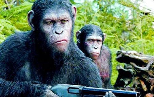 「科学家」苏联科学家曾经找了5个年轻女孩，进行\人猿后代实验\，结果如何