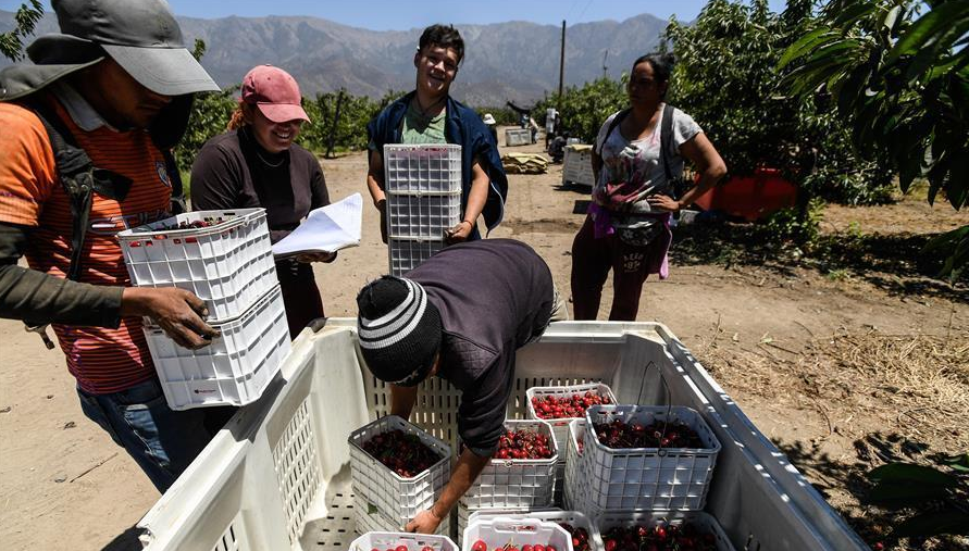 智利滯銷20萬噸水果，中國施以援手盡數購進，前者怎麼回報的？-圖3