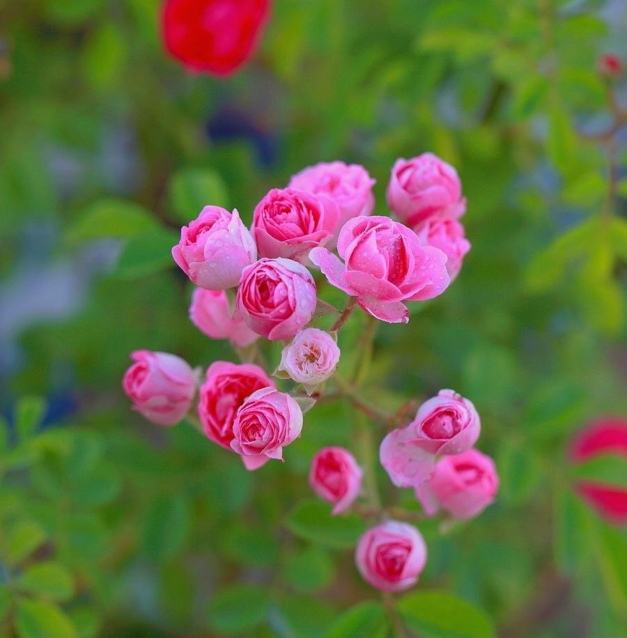 摩羯座▲2020年,运比火旺,得到贵人相助,诸事顺遂,愿望实现的几大星座