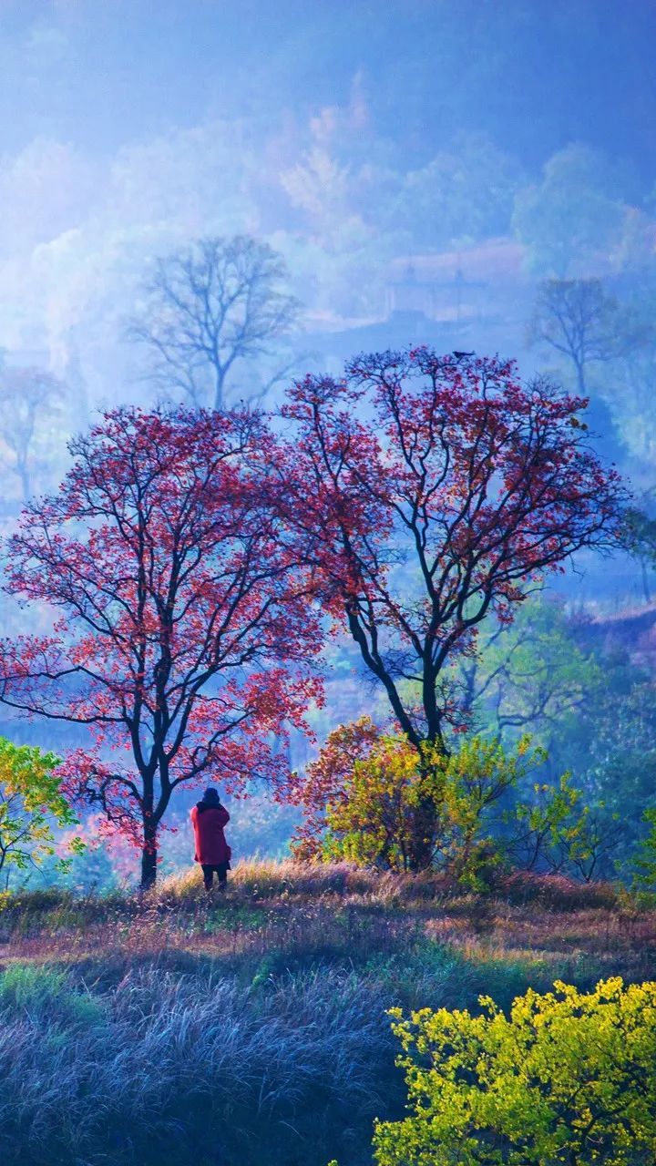 梯田|中国最美50个秋景,美得令全世界为之倾倒!去过20个就算达人