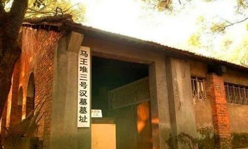 基因|湖南古墓出土一本奇书,研究结果引起轰动,国外专家:这不可能!