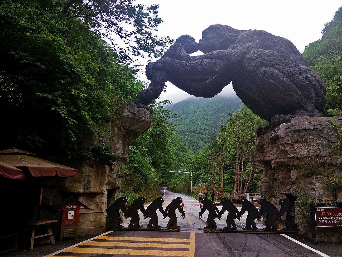 神农架|神农架深处出现不明生物？为何要被封为禁区？专家说出一神秘事件