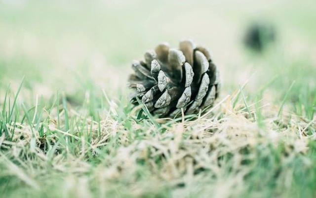 #天蝎座#个性很强的星座,跟大众不一样,与众不同!