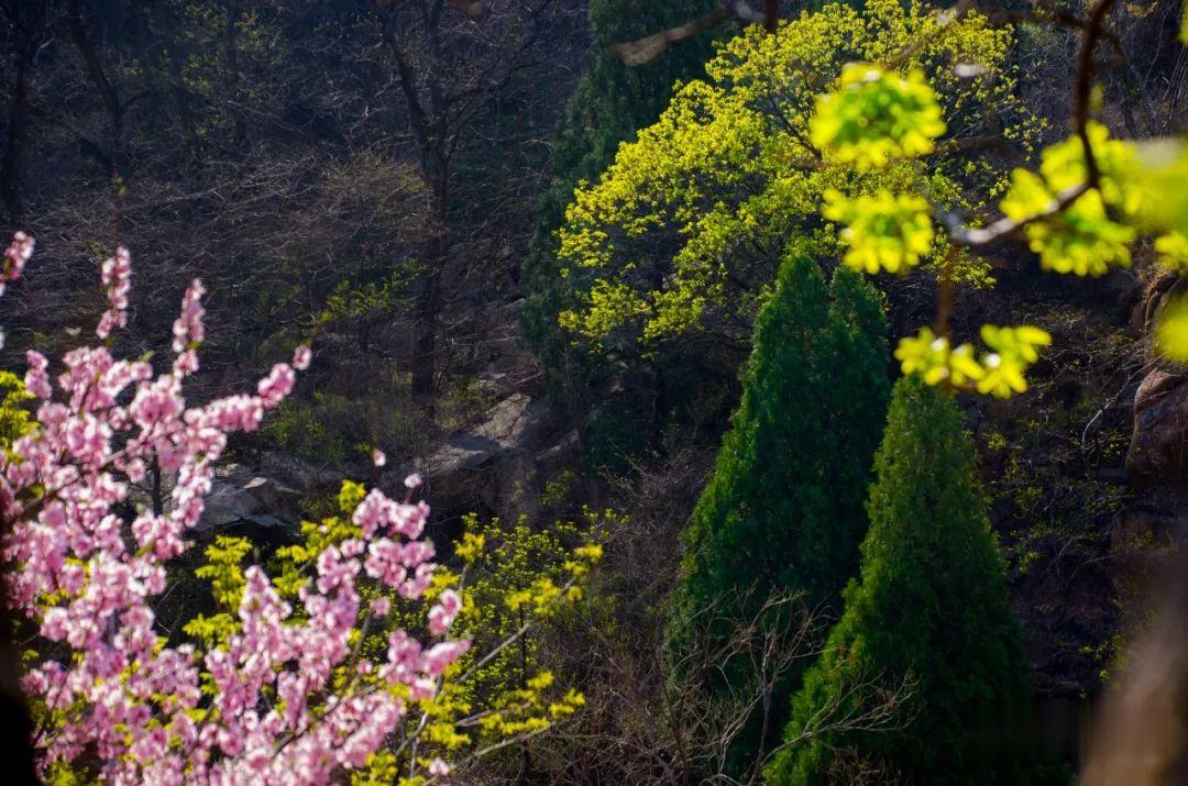 ▲周末，彩石溪走起！