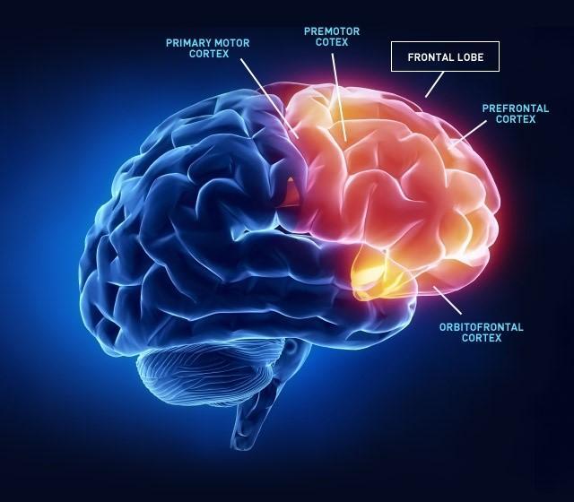 @人类进化有尽头吗?日本模拟了100万年后的人类,希望不会发生