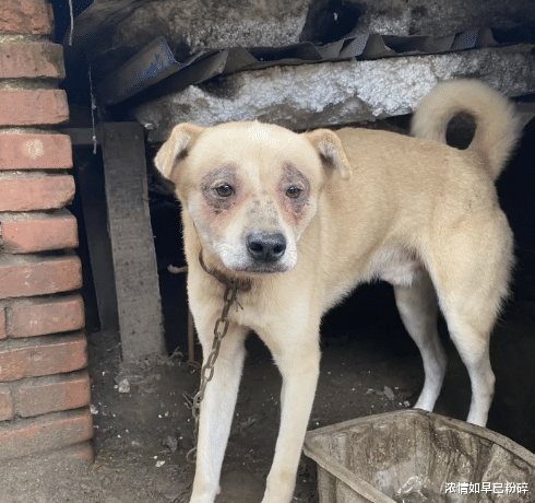 |“弟弟女同学才上初一就如此早熟？”哈哈哈吃啥长大的