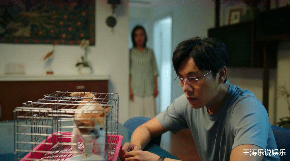 旗袍美探|看了几集《旗袍美探》，笑得我脸疼