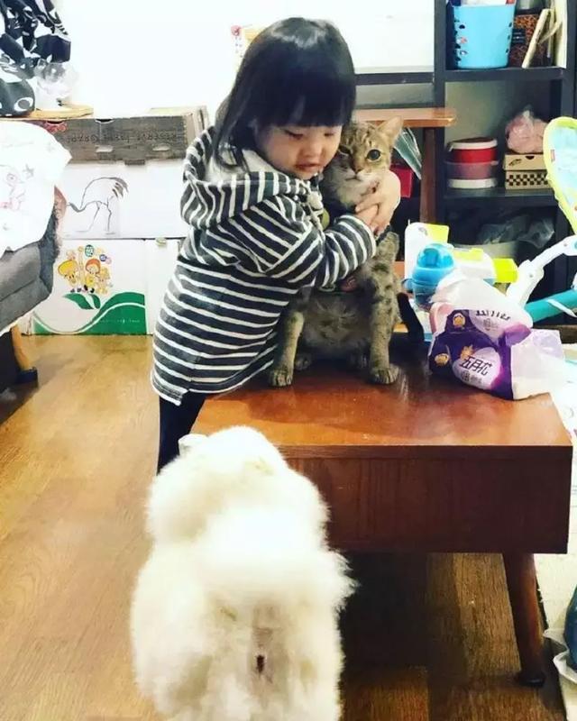 自从养了猫后，狗狗的家庭地位就变了，狗：不是说好最爱我的吗