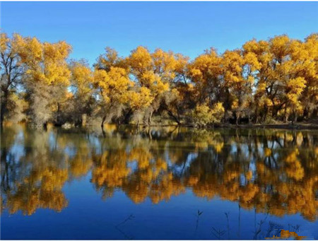 |70多年前才被发现，神秘的克里雅人，在沙漠中孤独的生存了上千年