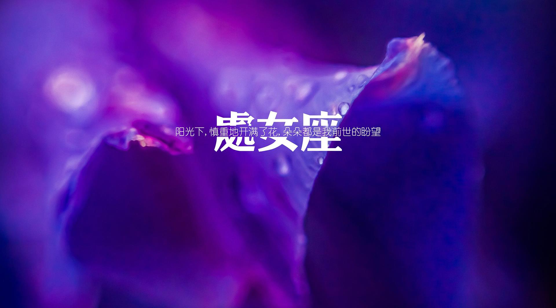 双鱼座|表面温柔内心傲气的四大星座，对另一半要求高，爱情来得有点迟！