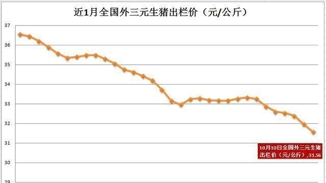 |生猪价格“7连跌”！别让这只蒙黑手，蒙蔽了你的双眼！