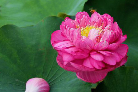 生肖|10月22号起福星高照，喜事财气来袭，日子一天好过一天的生肖