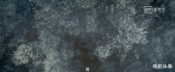 隐秘的角落|从8.9跌到6.0,它远比《隐秘的角落》更惊喜