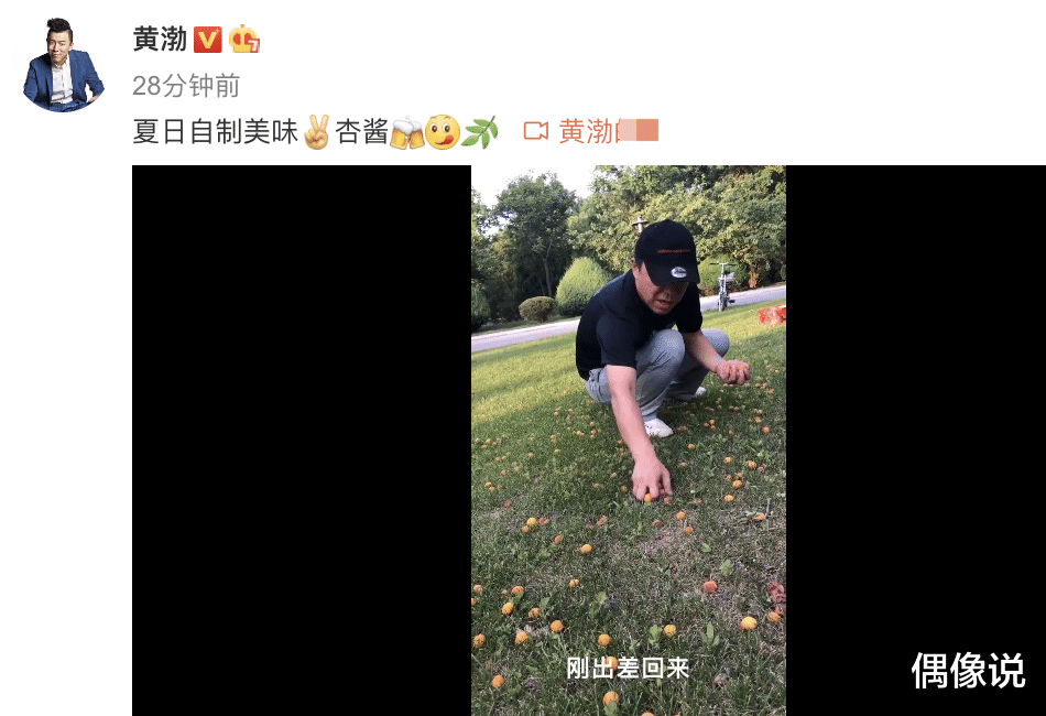 @黄渤豪宅自制杏酱，曝光院子里的超大草坪，但厨房装修十分接地气