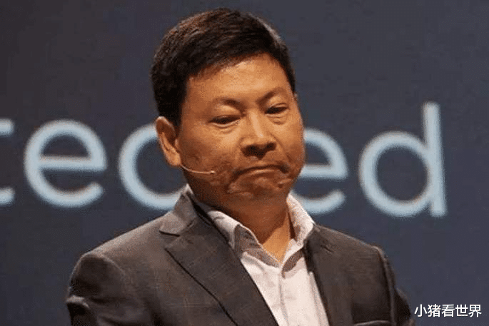 芯片|断供5天后，德国芯片巨头发声：愿为华为提供芯片，完全没美国技术