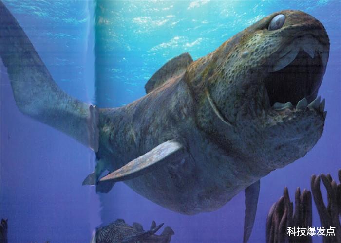 【科学家】没有牙齿的神秘生物,进食只能用骨头咬,饿极了连同类都吃!