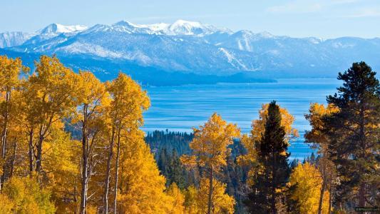 【运势】6月10号运势逆袭，横财滚滚进家门，大发500万，有车有房的生肖