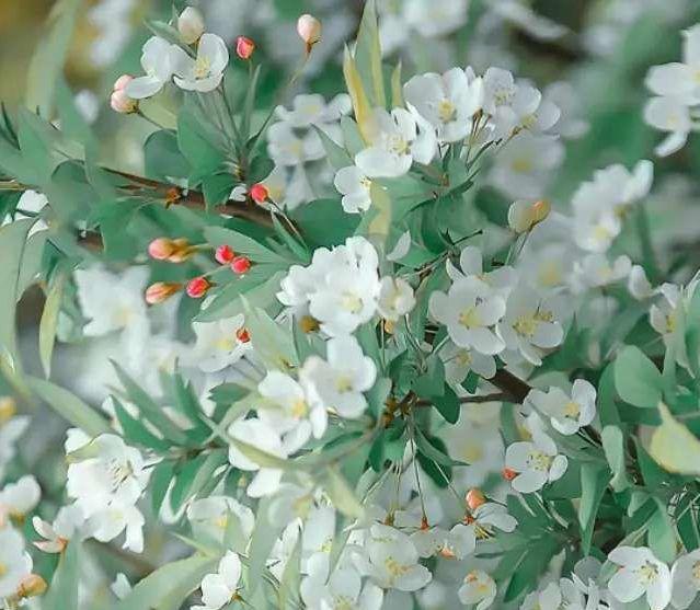 生肖|喜欢你,就会什么都依着你的星座男,很享受宠爱女友的状态