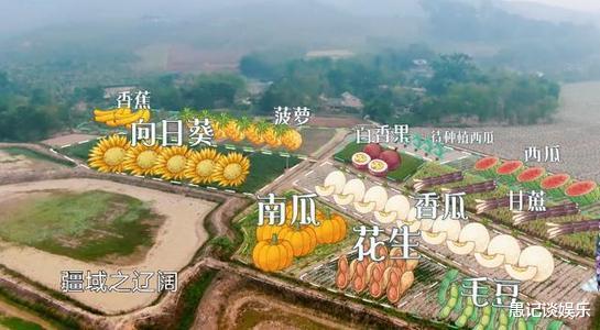 彭昱畅：《向往的生活》彭昱畅干活被众人喊停，看看他都干什么了！