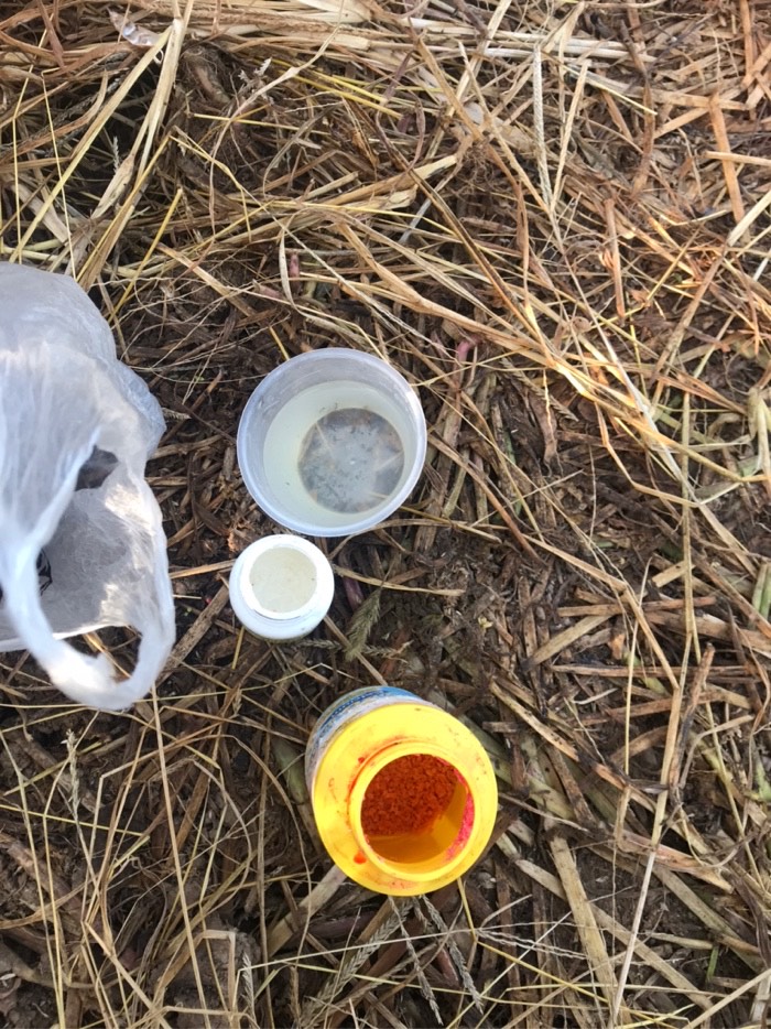 社会养老|今天鱼儿还是没口