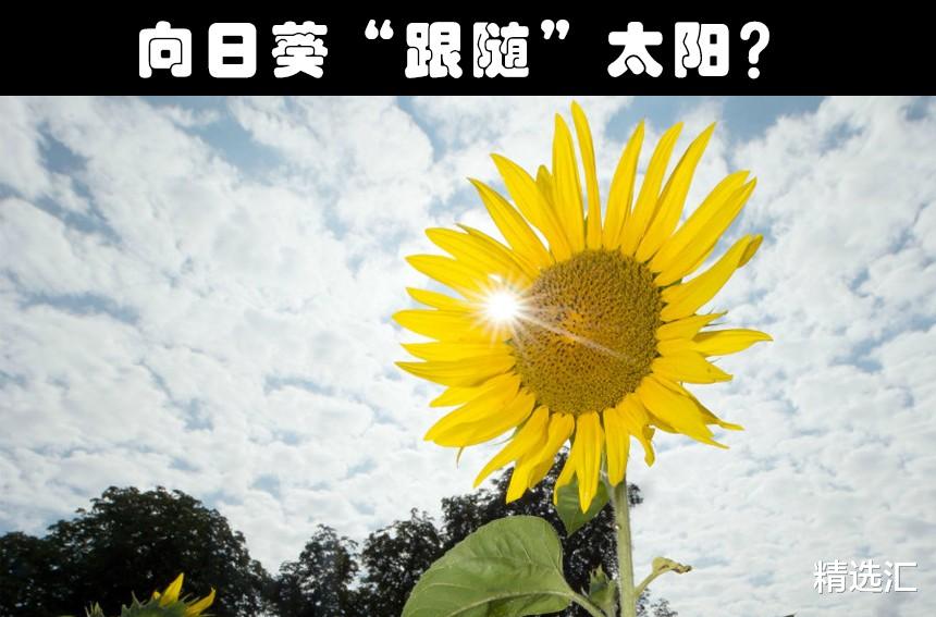 大象|被骗多年？很多人几乎从小就盲目相信着的8种错误常识