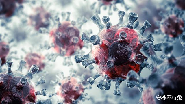 |50个冷知识：真实存在于世界，涵盖多个方面的简易知识