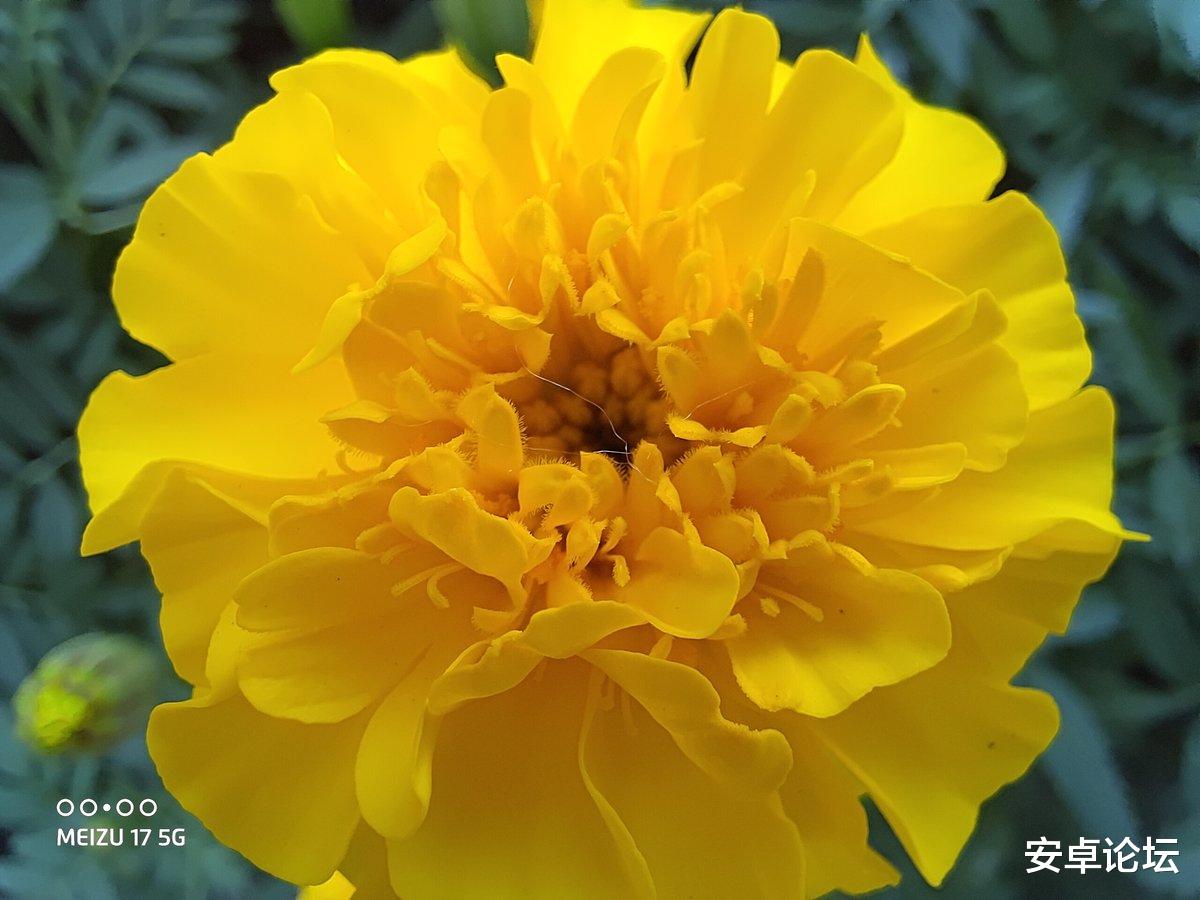 魅族17■魅族17 详细评测：尽管尺寸变大，但它仍然「小而美」