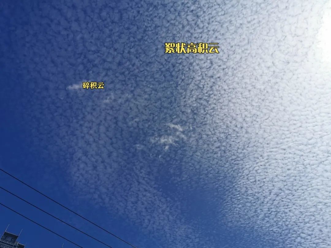 上海预警发布|台风蓝色预警！今夜起上海有风雨影响！