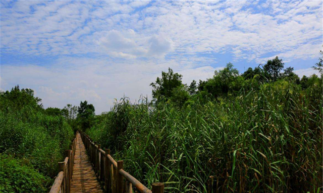 甘南|成都“最低调”的古镇：素有“天府水乡”美誉，距成都仅22公里