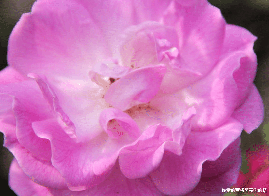 @未来10天,4属相六六大顺,横财大发特发,事业如鱼得水