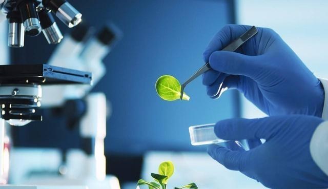 大学|听起来“高大上”，实际上就业困难的5个大学专业，不建议报考