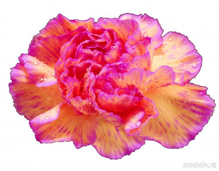 生肖|最近2周，好运势不可挡，大富大贵，咸鱼翻身发大财的四大生肖！