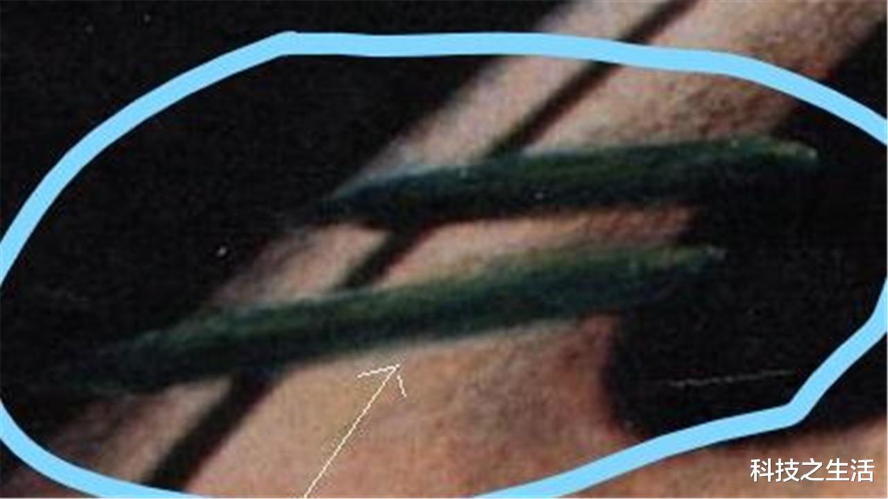 土星|NASA拍到的视频：土星光环出现长4万公里的UFO，或在吸收土星能量！