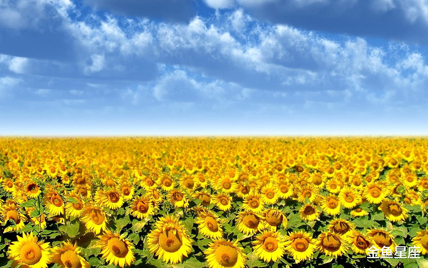 生肖@恭喜！今天起，3生肖坏运气熬到头，财源滚滚生意兴隆，苦尽甘来