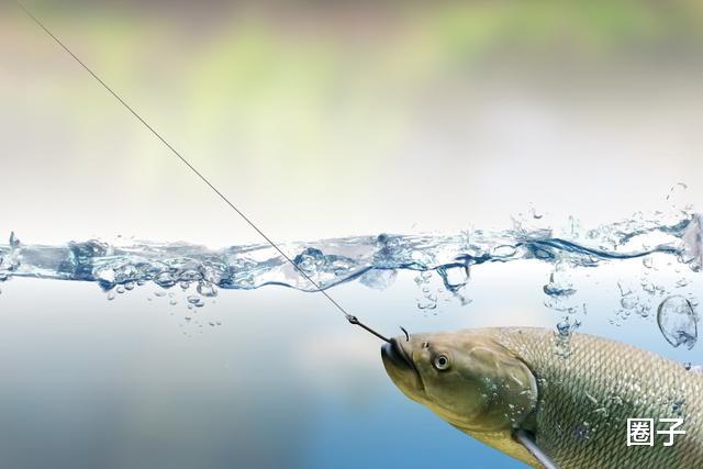 #临沂#临沂人有多喜欢钓鱼