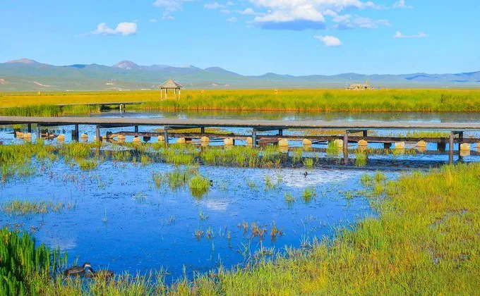 66号公路▲中国的66号公路！这条藏在川西的草原天路，每一帧都是流动的大片|思鹿旅行推荐