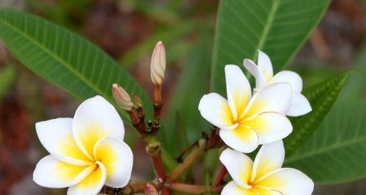 『巨蟹座』两周后，千里思念，望眼欲穿，3星座深情不纠缠，原地傻傻等待