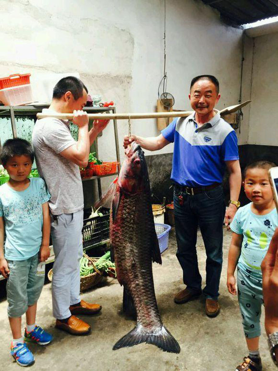 【水库】夏季在水库如何钓鱼？压箱底的这点干货都分享出来了