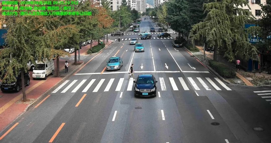 大连|你的这种行为，可能已被抓拍