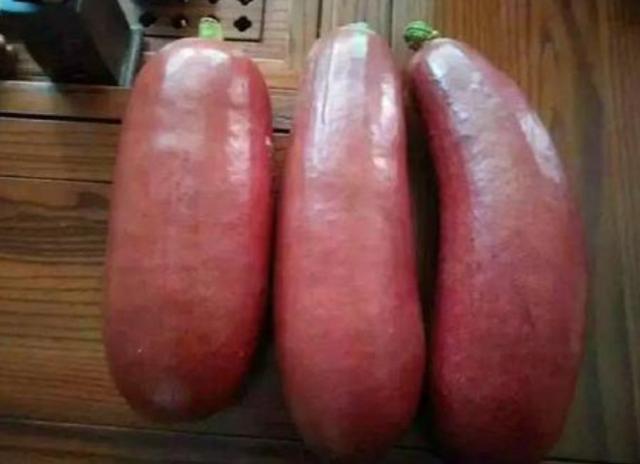 香肠|大爷摆摊卖它，远看以为是香肠，走近一看可把我乐坏了！买它不亏