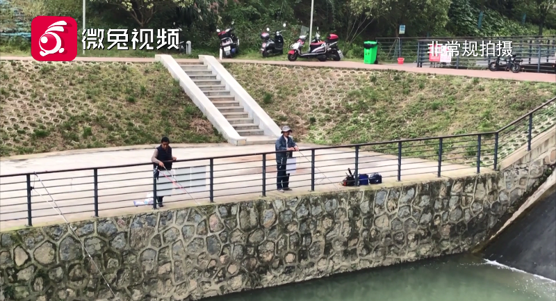 观山湖|屡禁不止！贵阳一湿地公园内现40余名垂钓者，市民：影响的是生态环境！