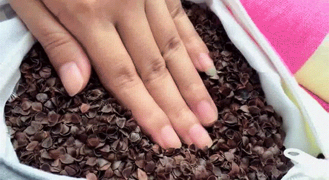 #降压药#半夜易醒睡不着?原来是这里堵了,这样敲一敲,沾上枕头就熟睡