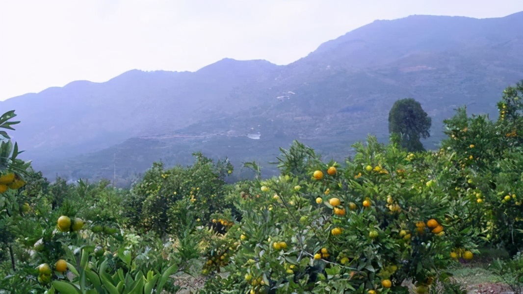 电子商务|实体店的最后一块阵地被互联网巨头盯上，门口小店竟傻傻涨价