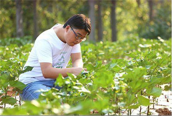 电子商务|又一生鲜电商独角兽出现：成立仅6年时间，估值高达500亿元