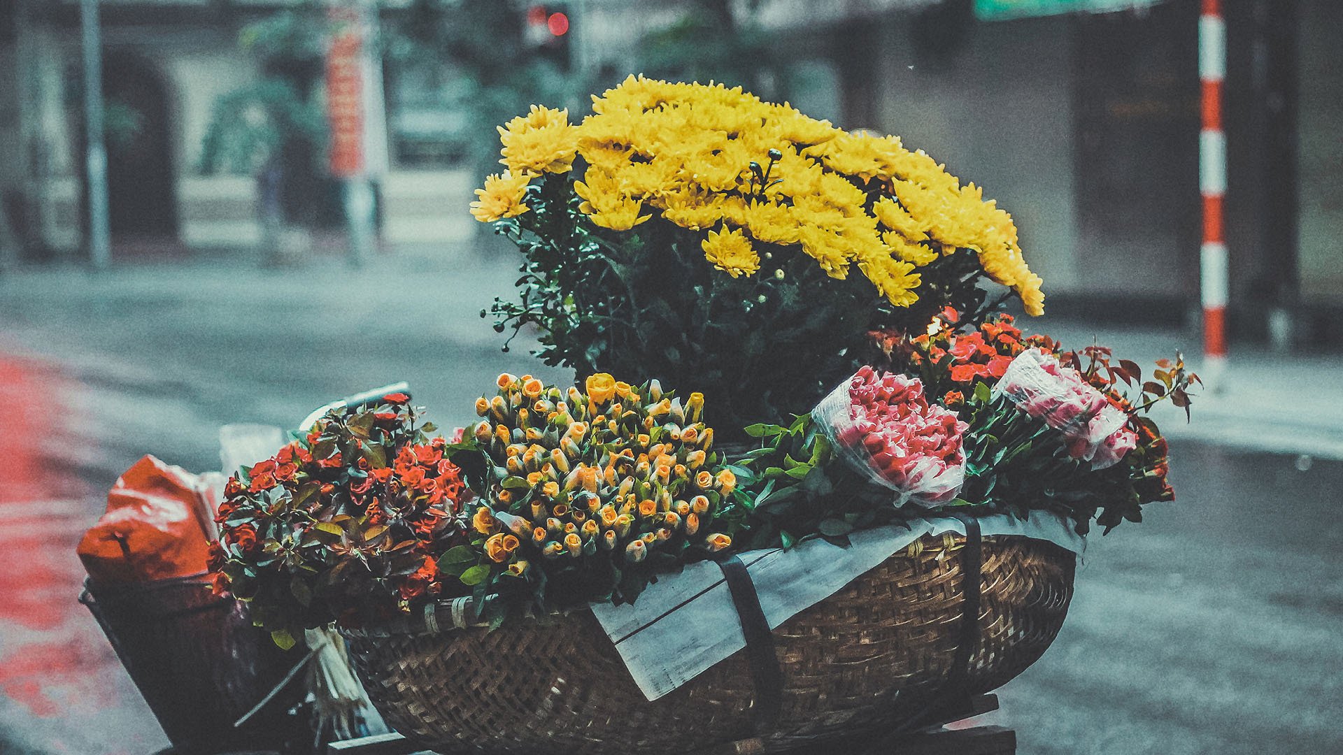 白羊座|最容易惹人注目，成为焦点的三大星座，能力出众，且总会无可替代