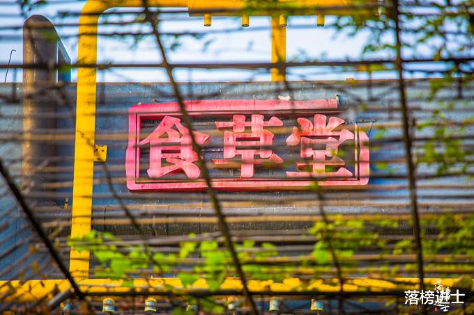 石家庄|石家庄有一处网红打卡地，免门票，秋色美，很多人专程来拍写真