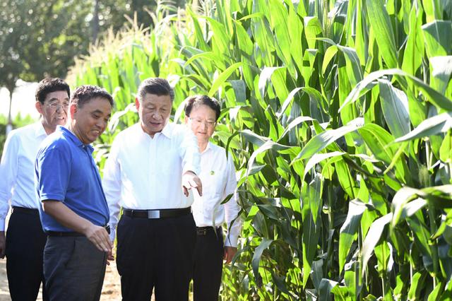 汽车销量|习近平在吉林考察时强调 坚持新发展理念深入实施东北振兴战略 加快推动新时代吉林全面振兴全方位振兴