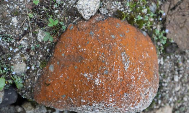财报|高德不停地叫我掉头,我就不掉头,现在已成功到达巴塘